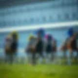 Analysis of horse racing results