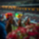 Detailed analysis of horse racing betting strategies