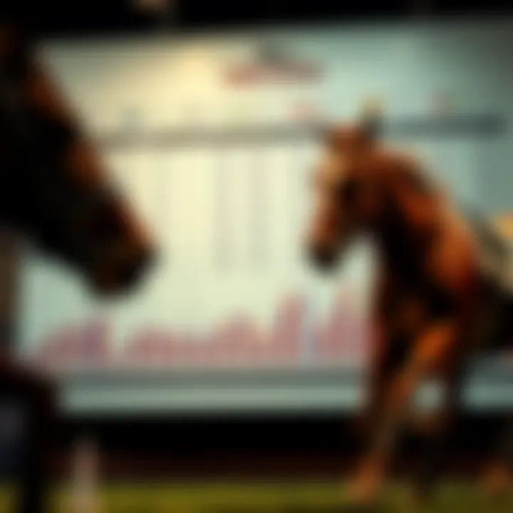 Horse Racing Statistics Chart Detailed statistics chart for horse races