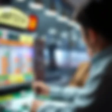 Insights into lottery prediction results